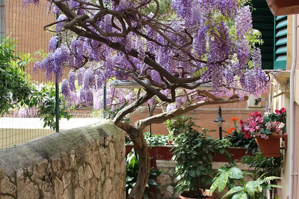 Hotel Pavia Roma Italia